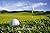 Understanding the Game of Golf by Thom Goddard