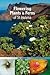 Flowering Plants & Ferns of...