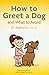 How to Greet a Dog and What to Avoid