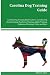 Carolina Dog Training Guide...