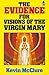 Evidence for Visions of the Virgin Mary