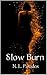 Slow Burn (Ember Doyle Seri...