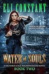 Water of Souls by Eli Constant