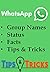 WhatsApp Book: Status, Grou...