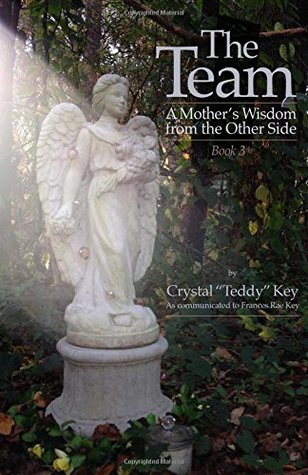 The Team: A Mother's Wisdom from the Other Side - Book 3 (The Team Books)