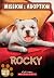Rocky (Mission: Adoption)