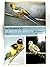 Handbook of Foreign Birds i...