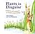 Plants in Disguise: Features of Creatures in Flowers and Foliage