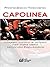 Capolinea. Viaggio ironico e amaro nell'italia della seconda Repubblica (Italian Edition)