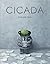 Cicada by Shaun Tan