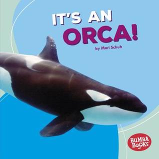 It's an Orca! (Bumba Books ® ― Polar Animals)
