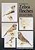 A Guide to Zebra Finches, their Colour Varieties, Management and Breeding