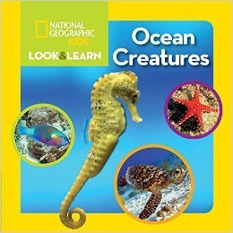 National Geographic Kids-Look & Learn: Ocean Creatures (Paperback)