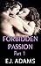Forbidden Passion Part 1 (Forbidden Passion Series)
