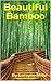 Beautiful Bamboo