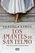 Los amantes de San Telmo by Graciela Ramos