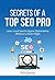 Secrets of a Top SEO Pro by PD Gates