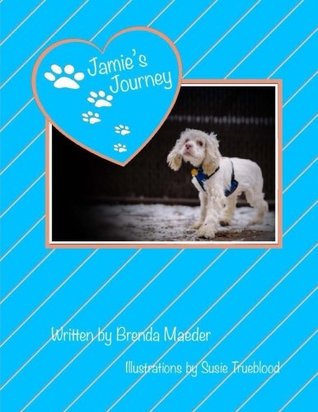 Jamie's Journey (Paperback)