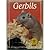 Gerbils