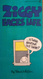 Ziggy Faces Life