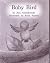 Baby Birds; Leveled Literacy Intervention My Take-Home Books, (Book 75 Level G, Fiction) Green System,Grade 1