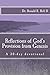 Reflections of God's Provis...