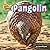Pangolin
