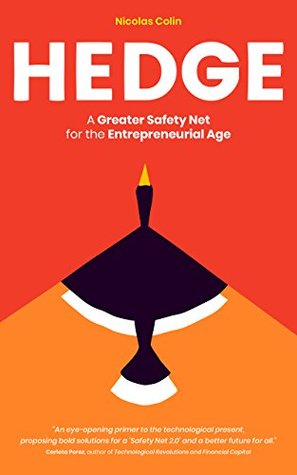 Hedge: A Greater Safety Net for the Entrepreneurial Age (Kindle Edition)