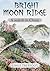 Bright Moon Ridge: A Search in China (Tales of Bartooth Book 2)