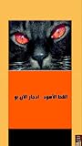 القط الأسود