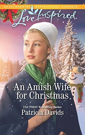 An Amish Wife for Christmas (North Country Amish #1)
