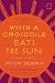 When a Crocodile Eats the Sun by Peter Godwin When a Crocodile Eats the Sun by Peter Godwin