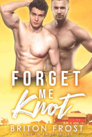 Forget Me Knot (Love in Knot Valley #1)