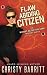 Flaw Abiding Citizen (The Worst Detective Ever #6)