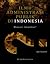 Ilmu Administrasi Publik di Indonesia Mencari Identitas?