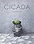 Cicada