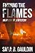 Fanning the Flames: An Aver...