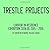 Trestle Projects: Curator-i...