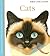 Cats : (First Discovery)