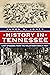 History in Tennessee: Lost ...