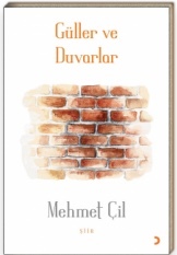 Güller ve Duvarlar