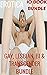 EROTICA 10 BOOK BUNDLE: GAY, LESBIAN, BI & TRANSGENDER BUNDLE
