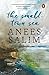The Small-Town Sea [Paperback] Anees Salim by Anees Salim