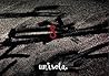 8: Un’isola (Italian Edition)