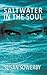 Saltwater in the Soul: Book 1 in Saltwater Series