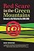 Red Scare in the Green Mountains by Rick Winston