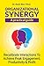 Organizational Synergy - A Practical Guide: Recalibrate Interactions to Achieve Peak Engagement, Productivity & Profit