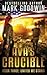 United We Stand: A Post-Apocalyptic Novel of the Coming Civil War in America (Ava's Crucible 3)