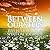 Between Our Steps: Reflecti...