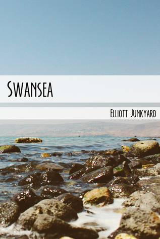 Swansea (Sweet Revenge #1)